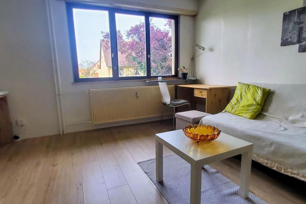 Studio Rdc Calme Avec Parking Ferme Pres Autoroute Et Tram C Mulhouse Eksteriør bilde